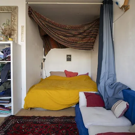 Apartment A Cocoon Of Bathed In Natural Light